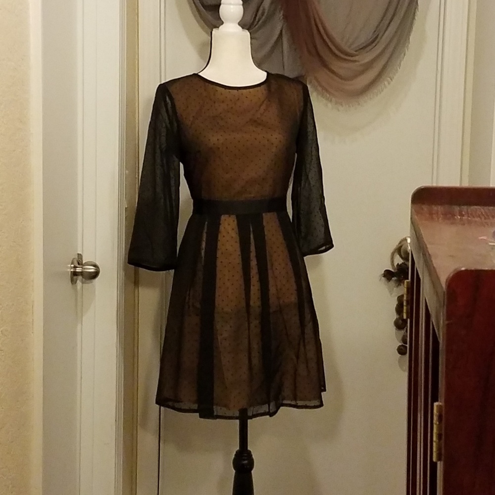 H&M Sheer Polka Dot Dress